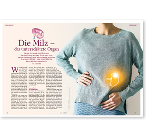 Die Milz - das unterschätzte Organ