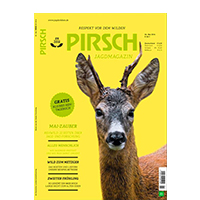 Pirsch